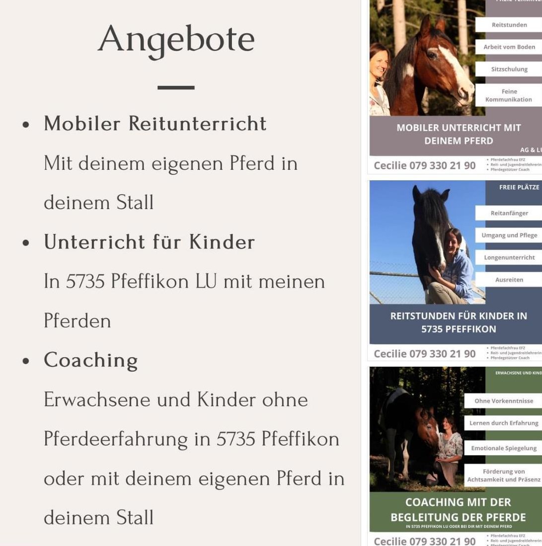 Mobiler Reitunterricht und mehr