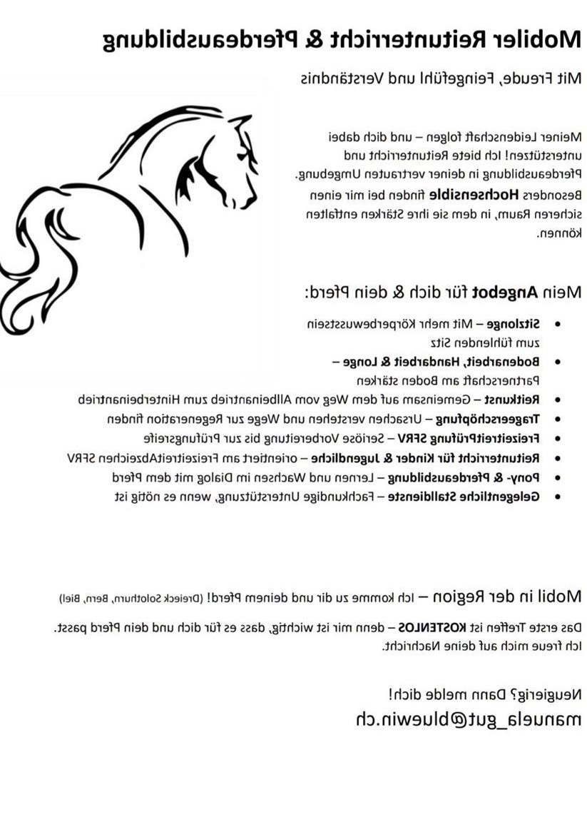 Mobiler Reitunterricht & Pferdeausbildung - Solothurn, Biel, Bern