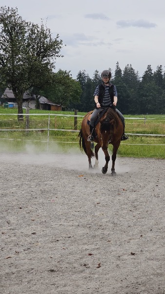 Leidenschaftliche Reitbeteiligung