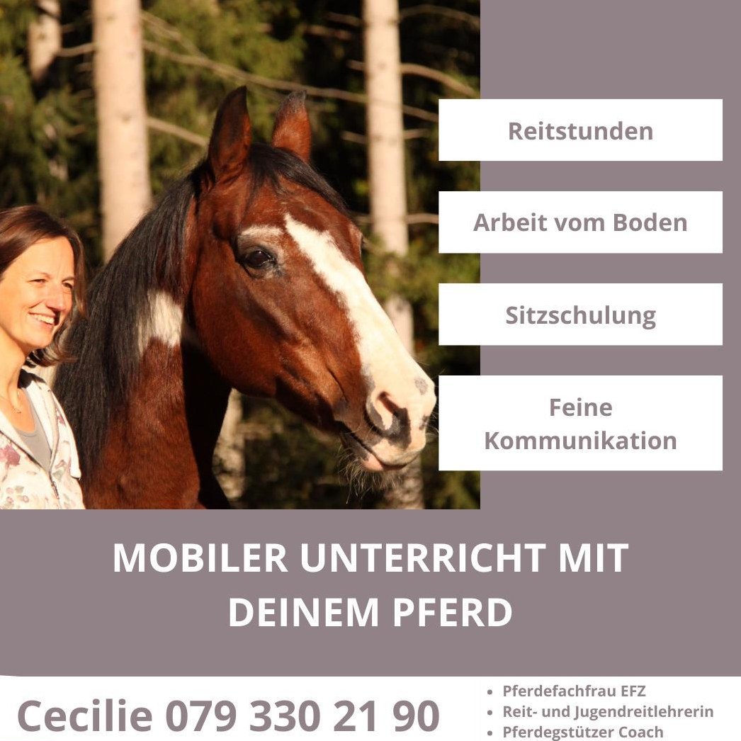 Mobiler Reitunterricht - Mit deinem eigenen Pferd in deinem Stall