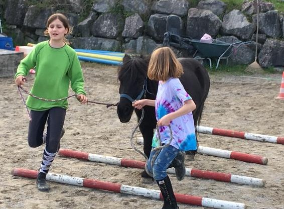 Ponytage & Reitlager mit Islandpferden im Aargau