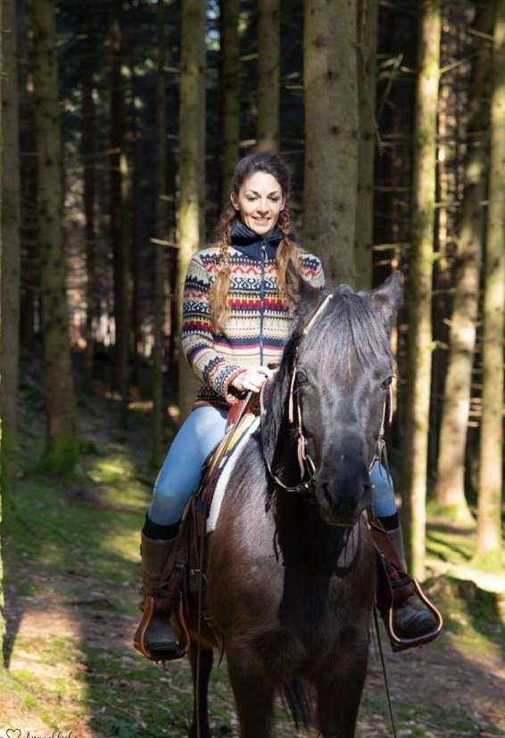 Die Welt der Ponys & Pferde entdecken für Kinder