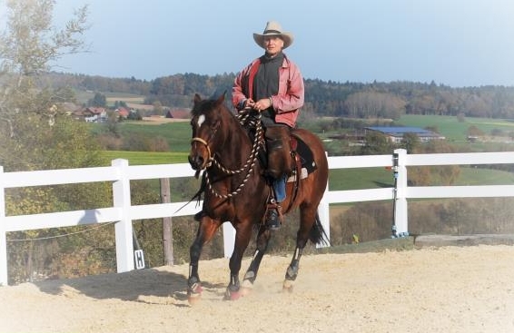 Mobiler Reitunterricht - Pferdefreundliches Reiten