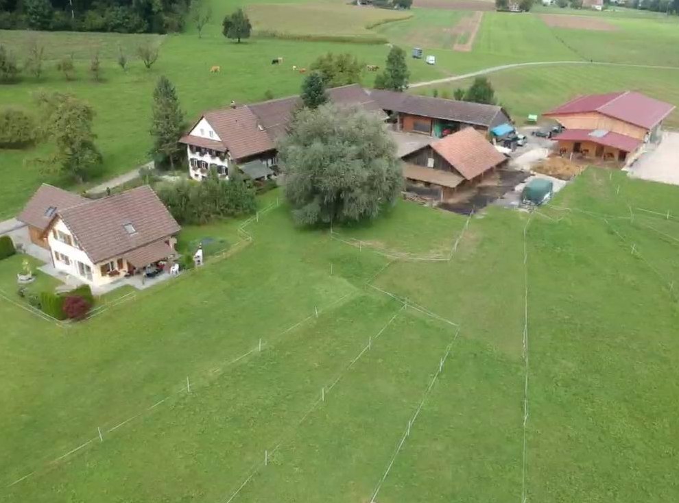 Suchen Stallhilfe Pferdestall in Zwillikon ZH