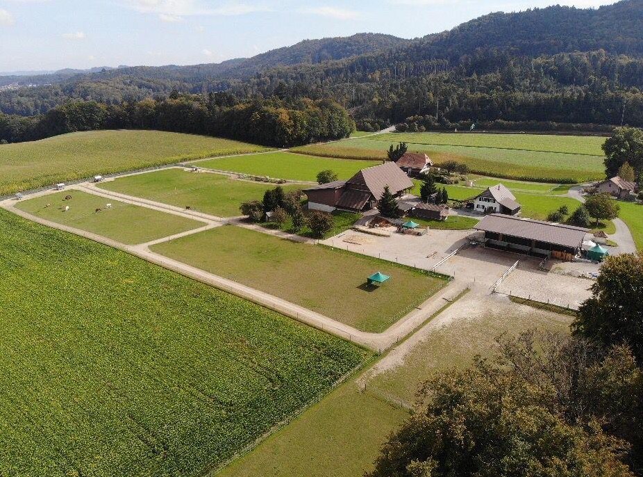 Suchen Stallhilfe / Landwirtschaftlicher Mitarbeiter, Teilzeit
