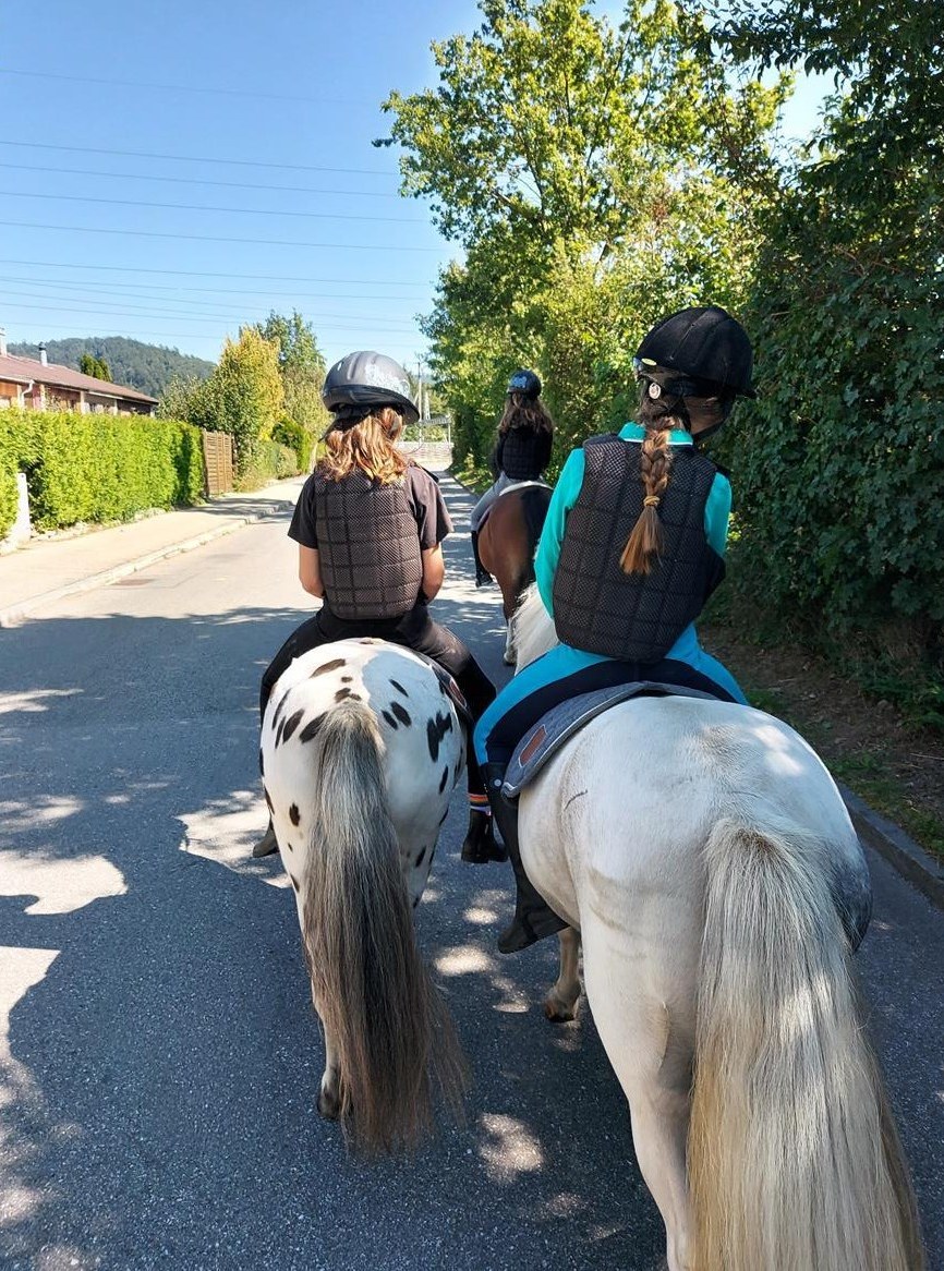 Ponyreitschule Ponytröimli - Ausreiten mit Ponys und Reitunterricht
