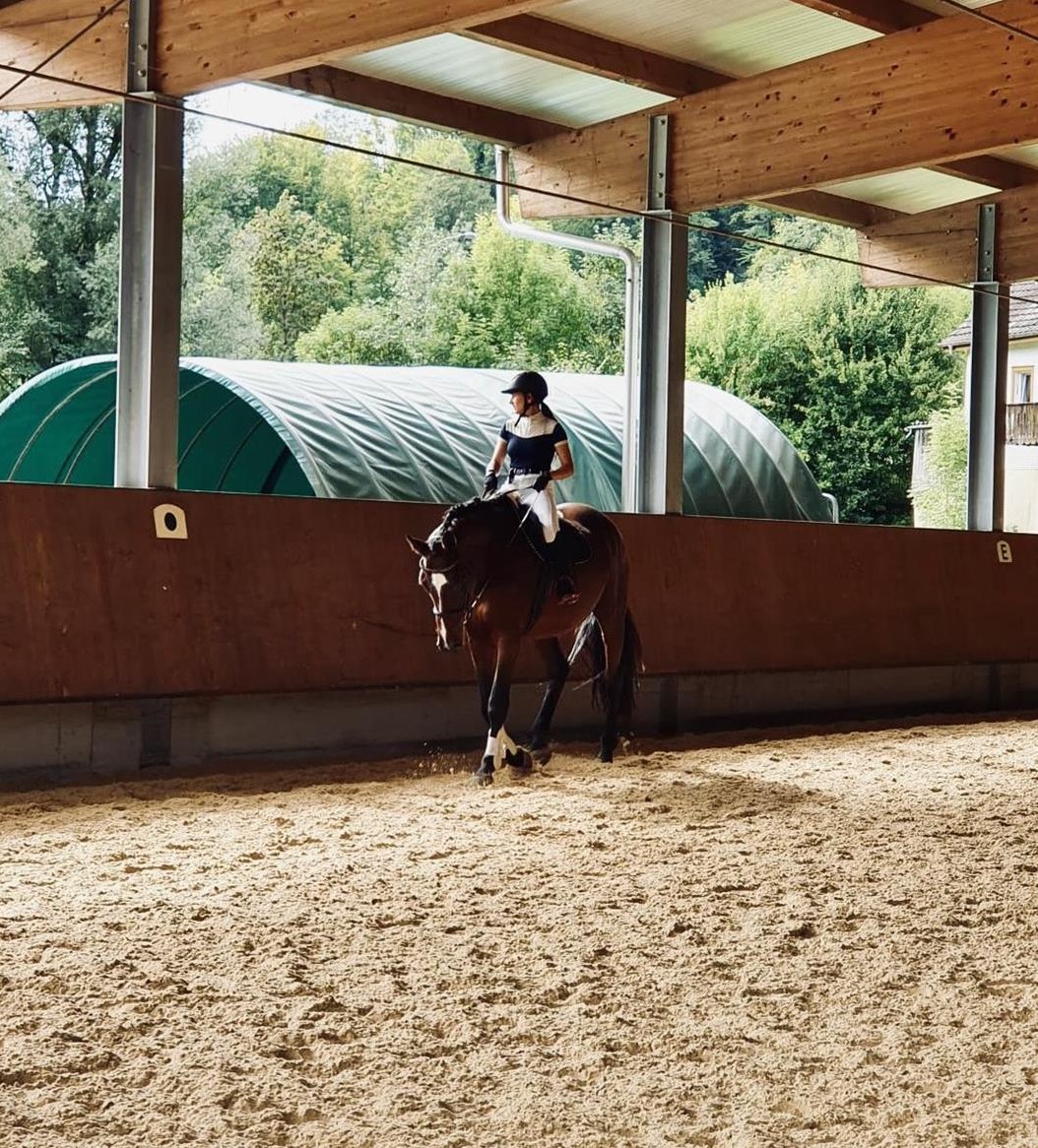 Biete Beritt für Ponys und Kleinpferde