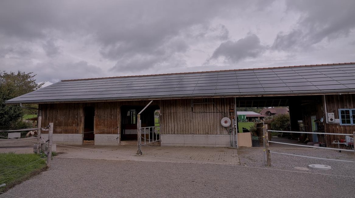 Pferde Plätze frei im Offenstall in Matzwil BE