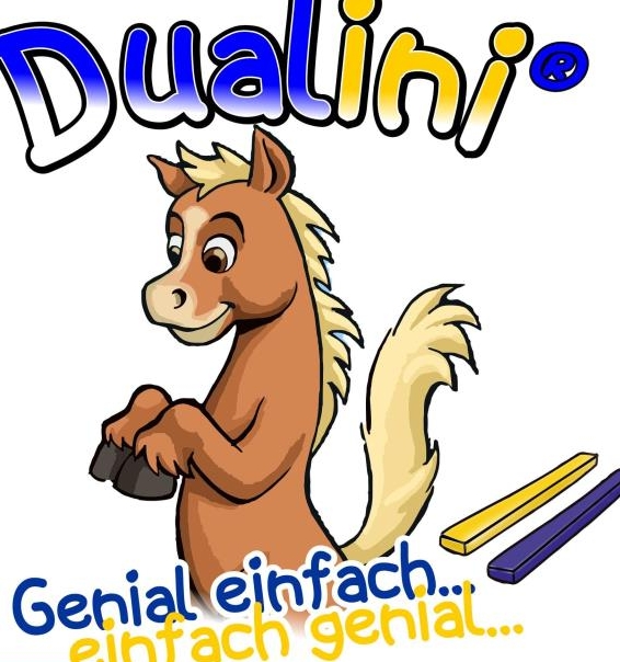 Kurs: Dualini für Kinder Duaktivierung Equikinetic in Richterswil