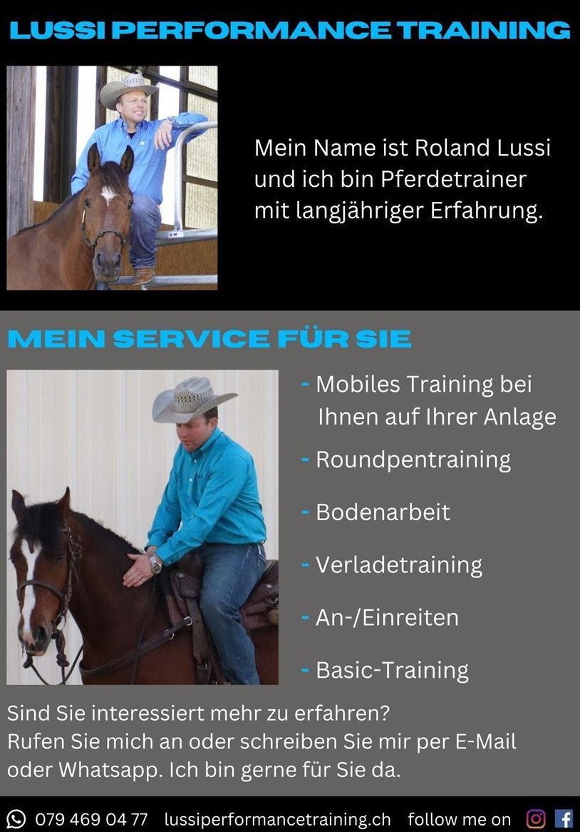 Reitunterricht und Beritt in der ganzen Schweiz