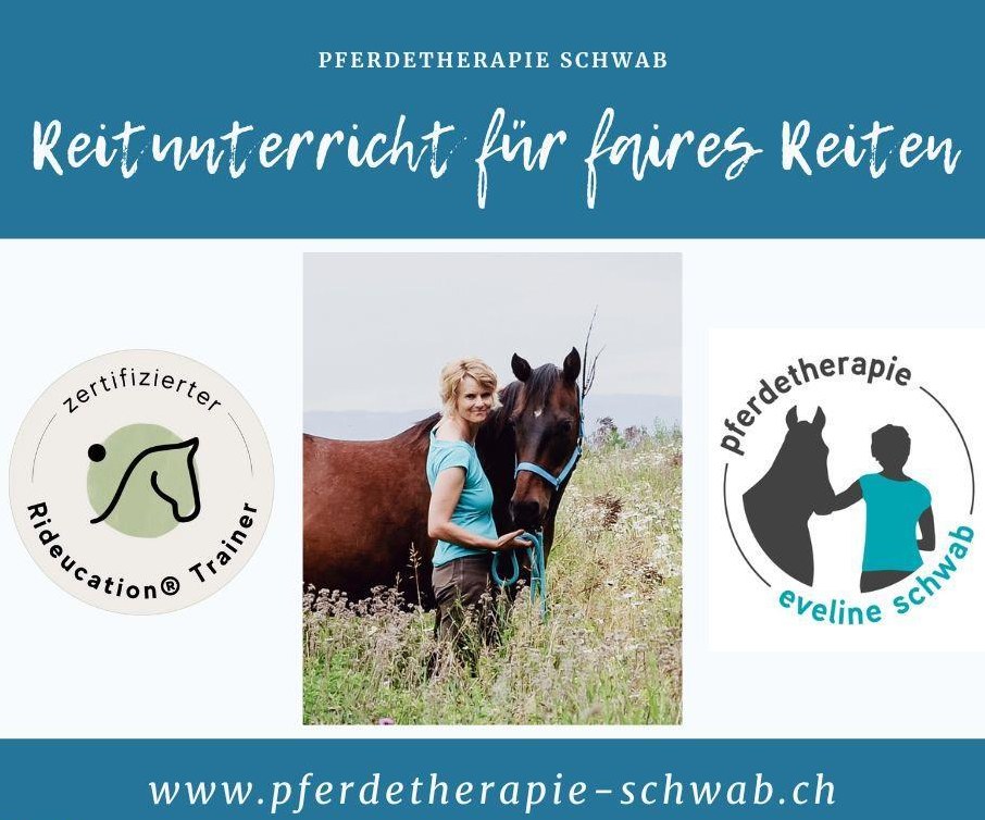 Mobiler Reitunterricht für faires Reiten
