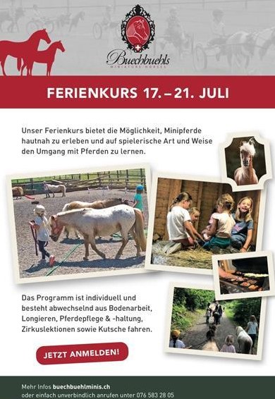Ferienkurs - Kinder erleben Minipferde / verschiedene Daten 15.-19.07.