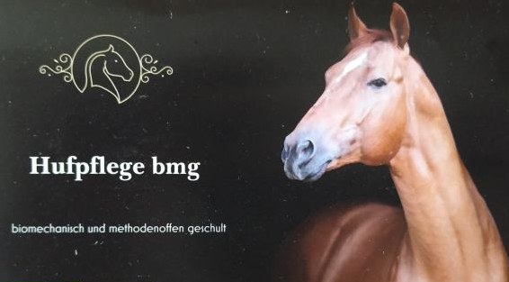 Ganzheitliche Hufpflege Nah am Tier