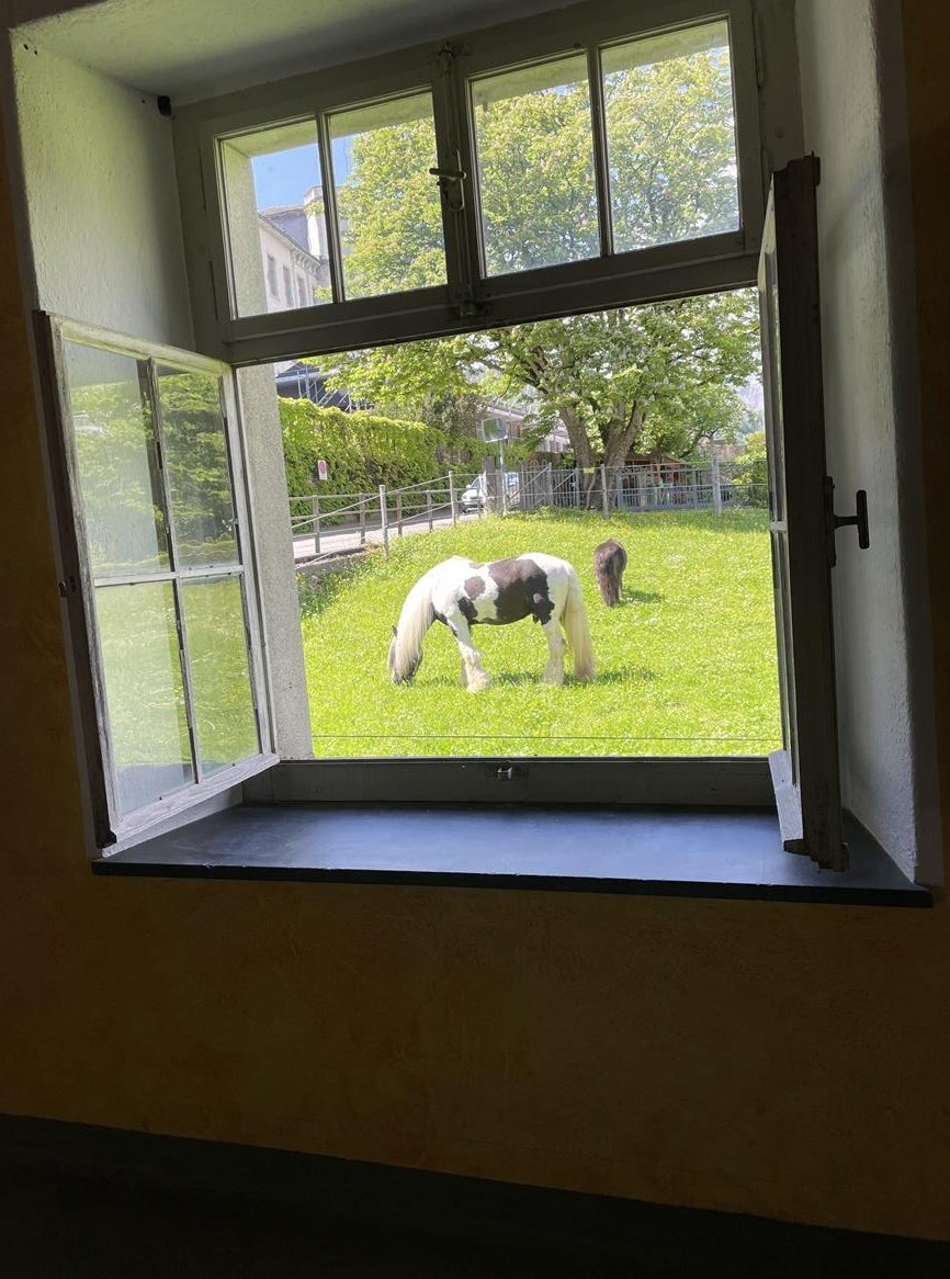Erholsame Ferien mit dem eigenem Pferd