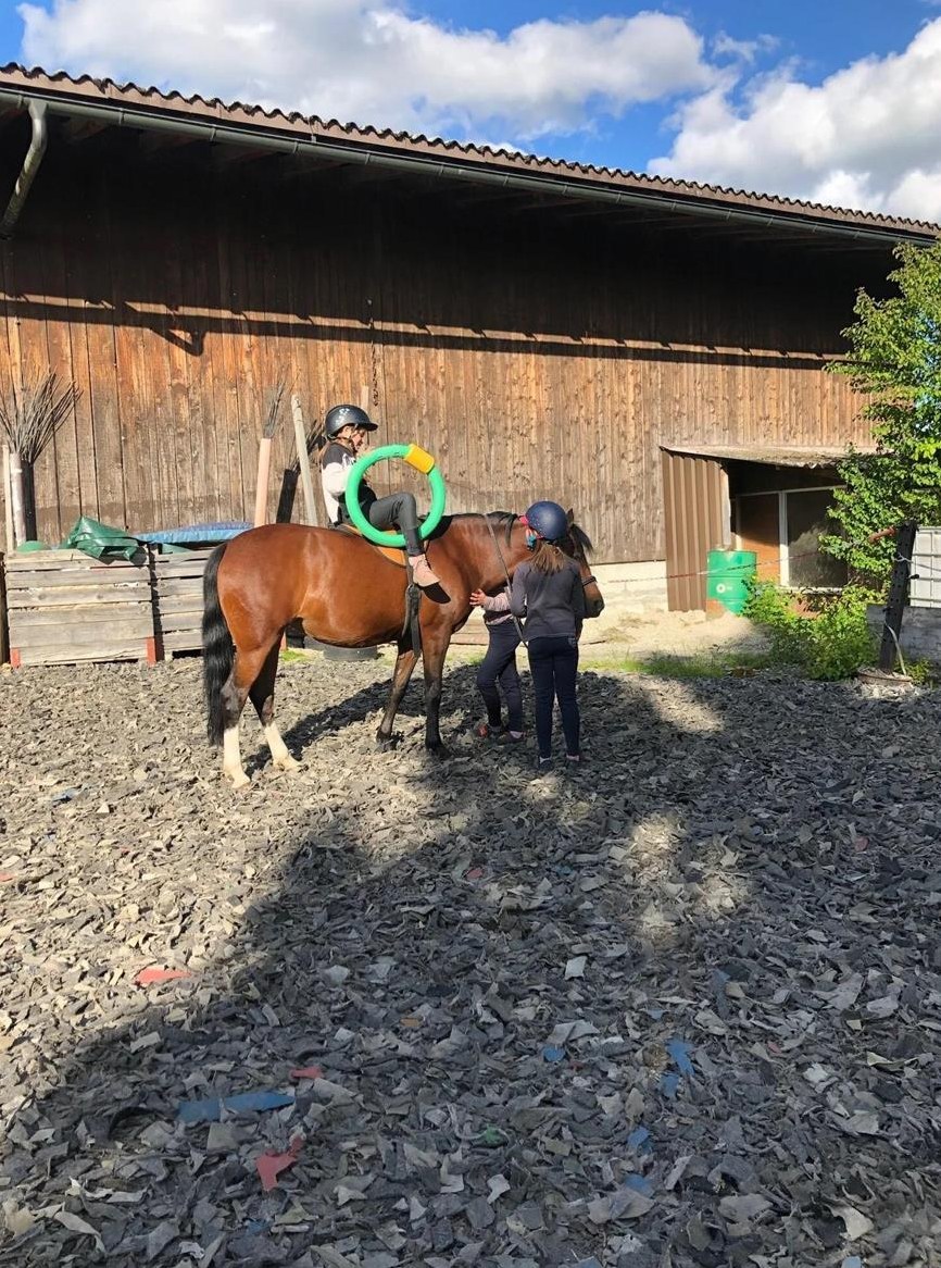 Biete Kinderreitunterricht in der Region Bern