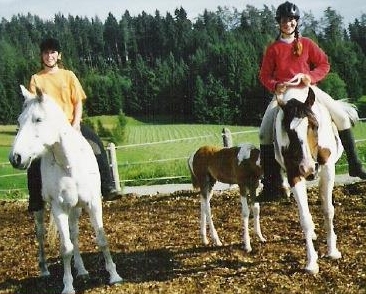 Lässige Reitlager auf dem Brikerhof im Appenzellerland