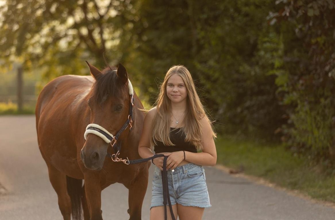 Suche eine Reitbeteiligung im Rafzerfeld