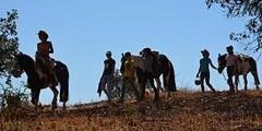 Reitlager: Horsemanship Kinder- und Jugendcamp