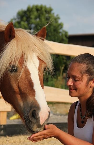 Pferdeflüstern für Kinder | ganzheitlicher Unterricht mit Ponys
