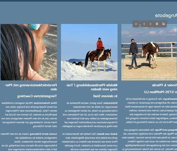 Mobile Reitstunden & Pferdeausbildung