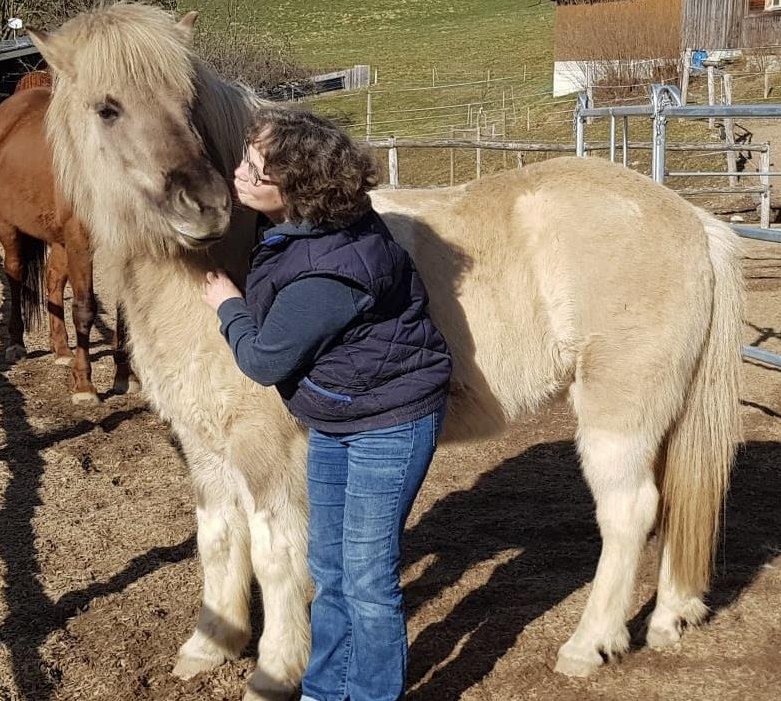 Tolle, 10j, herzige Islandstute ideal für Umsteiger auf Mehrgänger