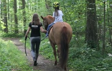 Ferienangebot Ponyerlebnis für Kinder in Rümlang / Affoltern