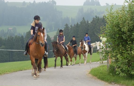 Lässige Reitlager für Kinder & Jugendliche auf dem Brikerhof