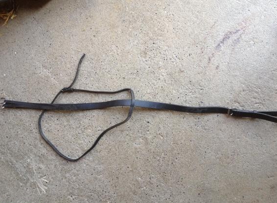 Pony Martingal, Leder, schwarz zu verkaufen