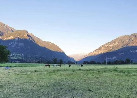 Pferdeboxen, Gruppenplätze, Ausbildungsplätze in 7408 Cazis GR