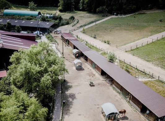 Aktivstall mit Paddocks in 79541 Lörrach bei Basel