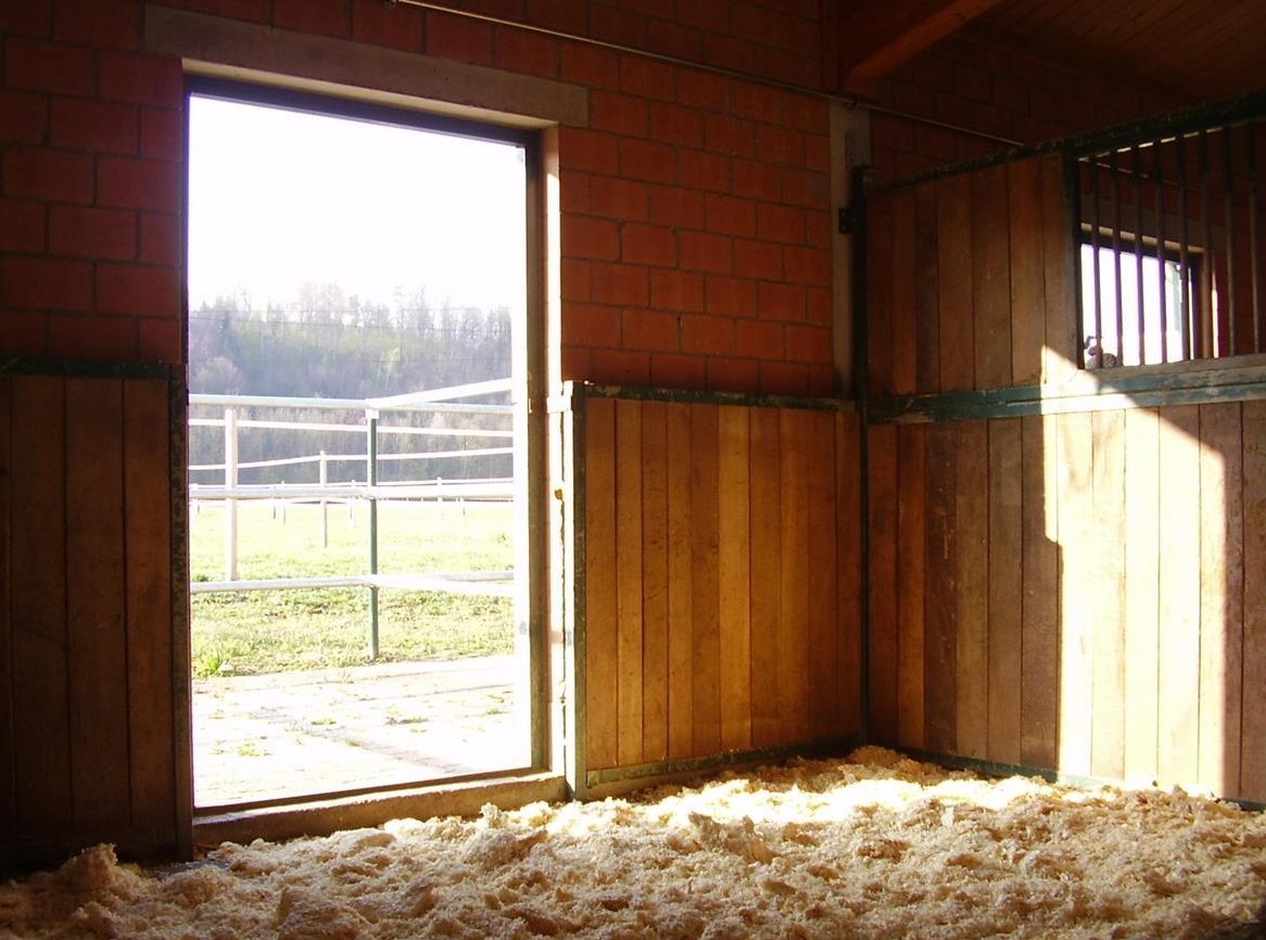 Auslaufboxen mit Halle und Beritt/Reitunterricht im Aargau