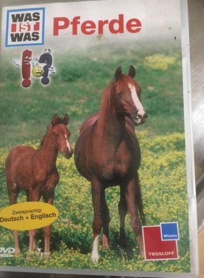 Info-DVD alles über Pferde zu verkaufen