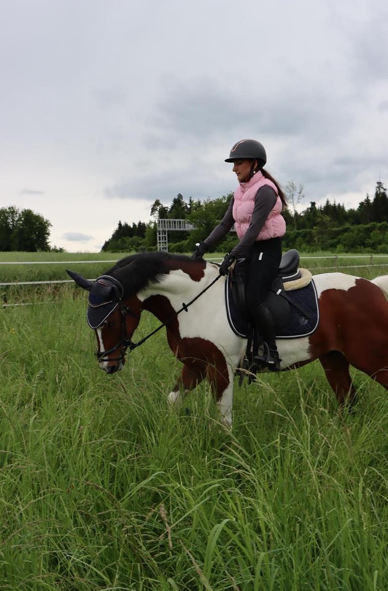 Reitbeteiligung für coolen Wallach und Pony Stute