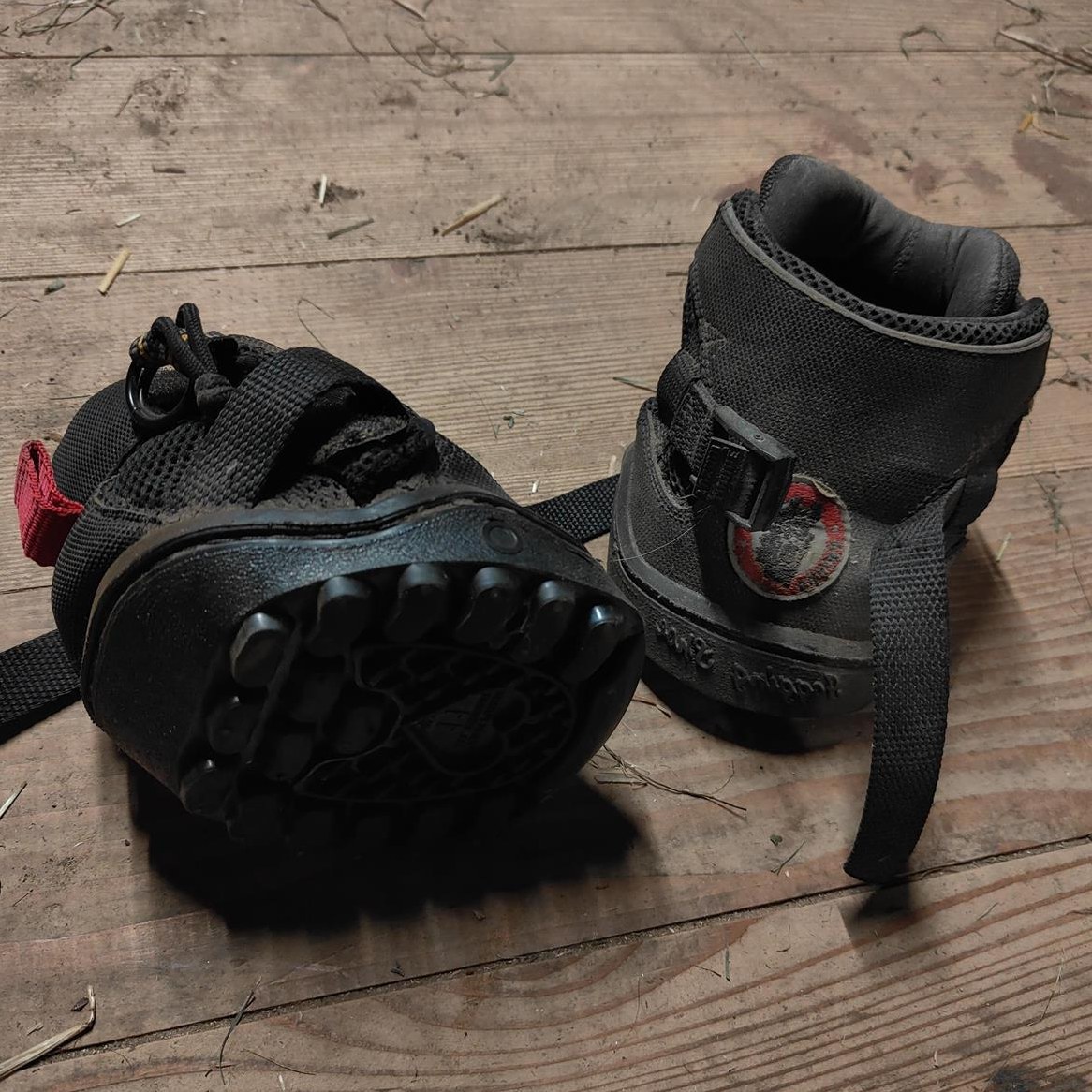 Equine Fusion Jogging Shoe All Terrain Slim 11