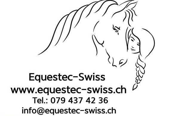 Biete Mobiler Unterricht in Springen, Dressur, Sitzlonge, Longenunterricht usw.