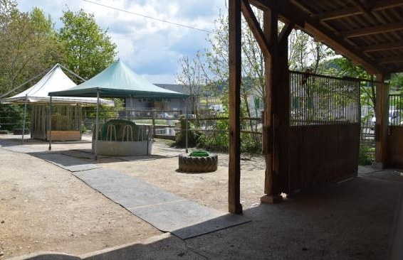 Plätze im Offenstall auf Hof in 3054 Schüpfen BE