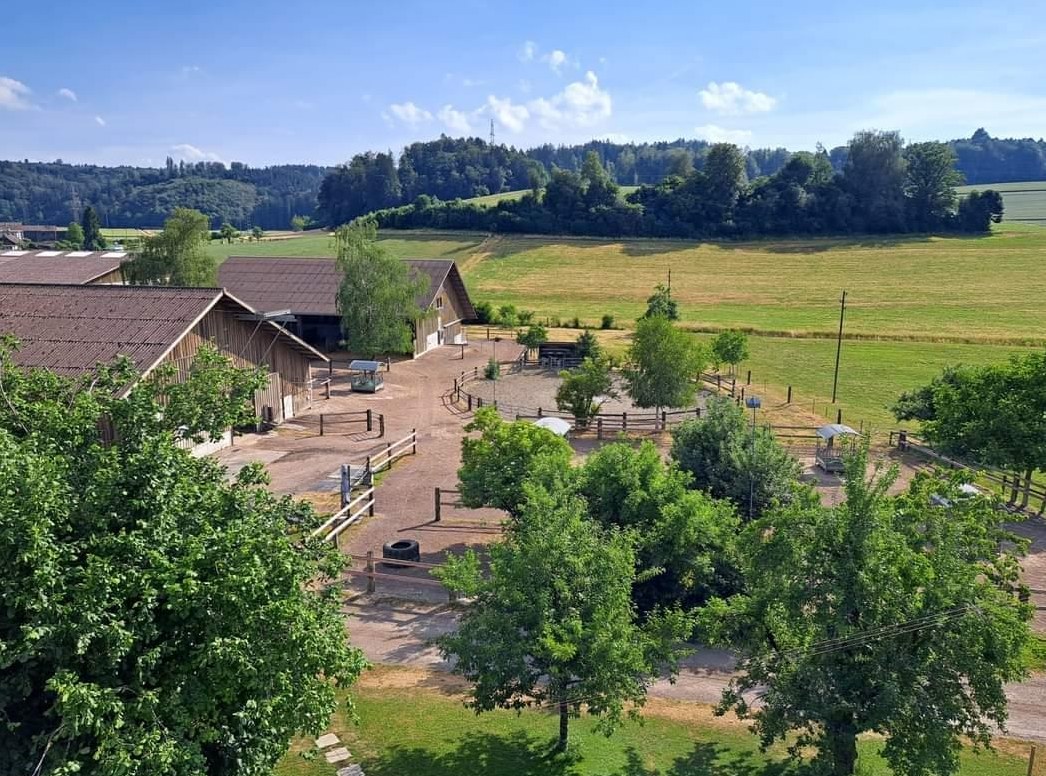 Suchen eine Stallhilfe für unsere Pferdepension