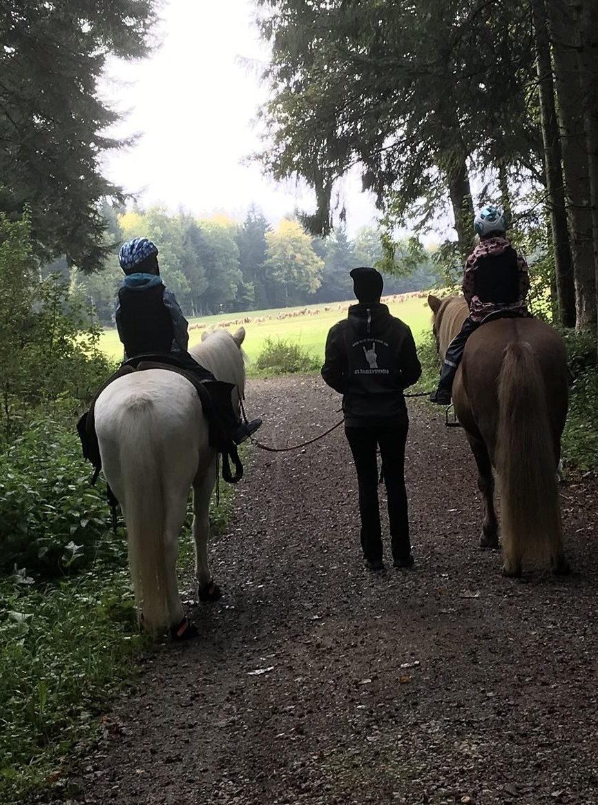 Reitbegleitung auf Gangpferden oder Fahrbegleitung mit Shetlandponys