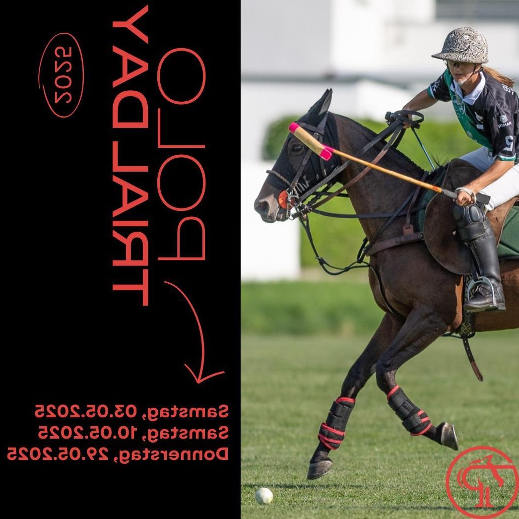 Polo Schnupperkurs in Küssaberg BW Polo Schnupperkurs in Küssaberg BW