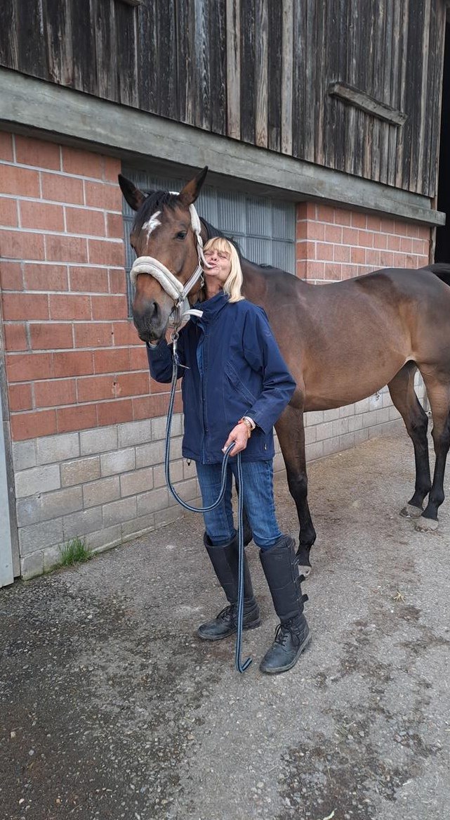 Suche Pflegepferd/Reitbeteiligung, Umgebung Uster
