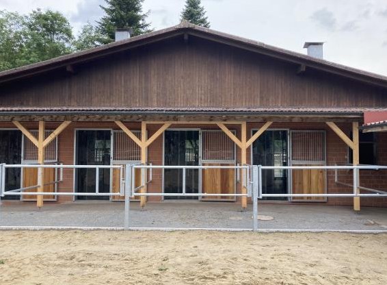 Auslaufboxen im Reit- & Pensionsstall Lohnmoos | Neuenkirch LU