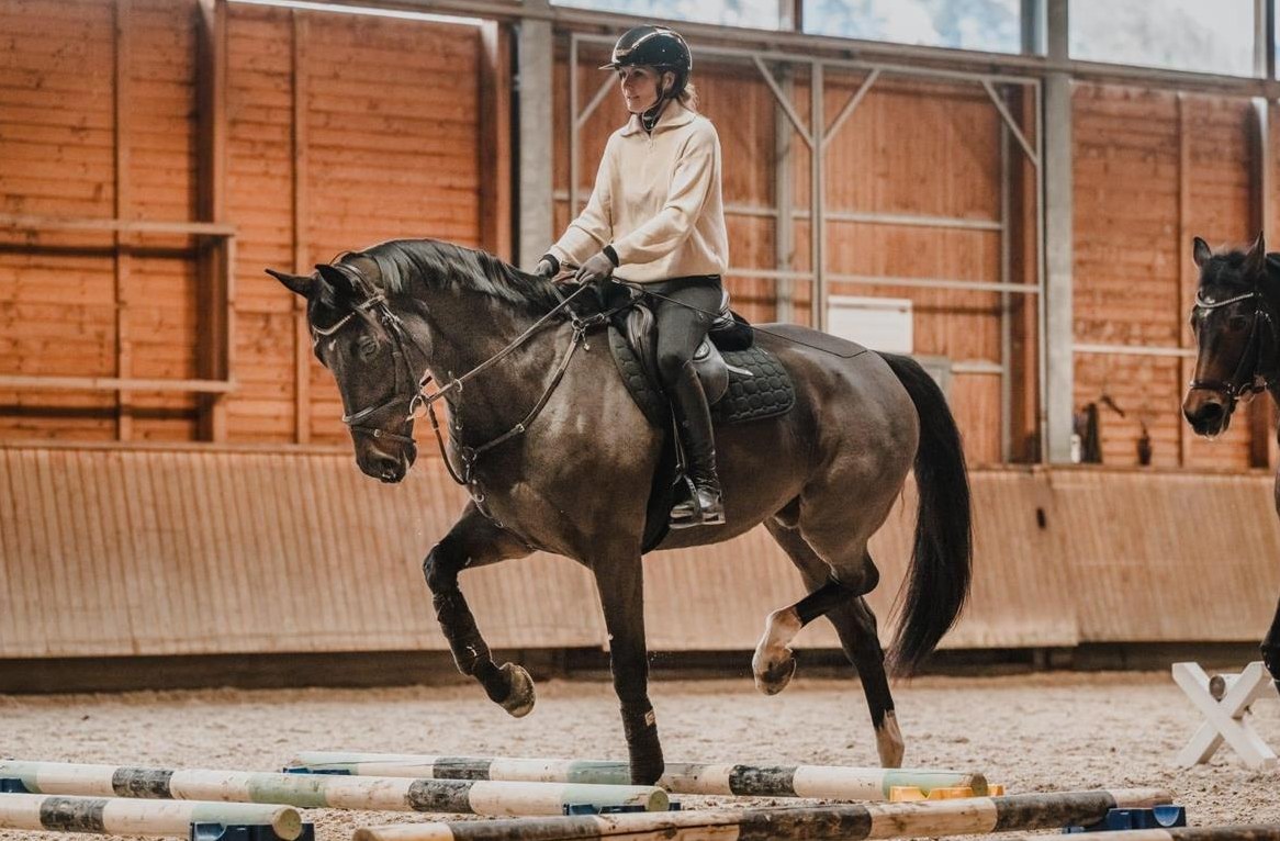 Pferde-Zumba für Vereine und Reitgemeinschaften