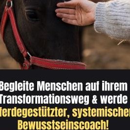 Praxisausbildung zum zert. Integralhorse® Bewusstseinscoach