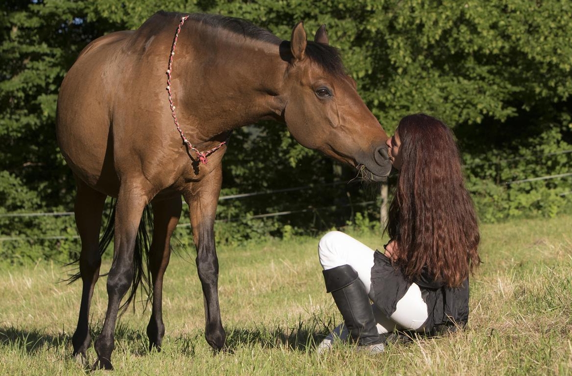 Verbinde Dich mit Deinem Pferd - Wochenendkurs mit eigenem Pferd