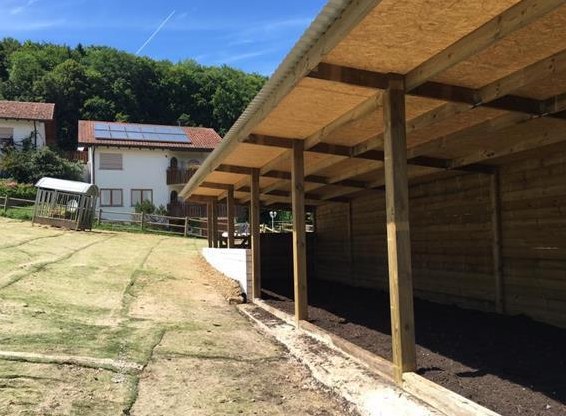 Aktivstall mit Paddock, direktem Weidezugang in Lörrach-Haagen