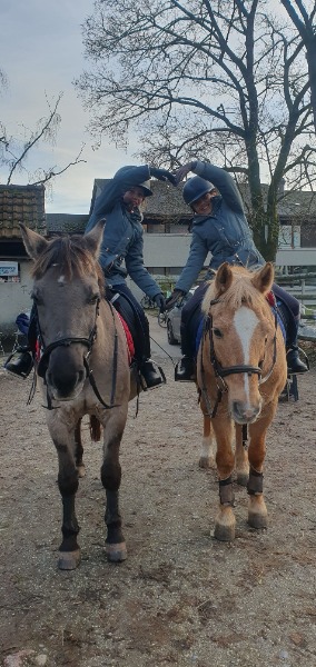 Reiten in Münsingen