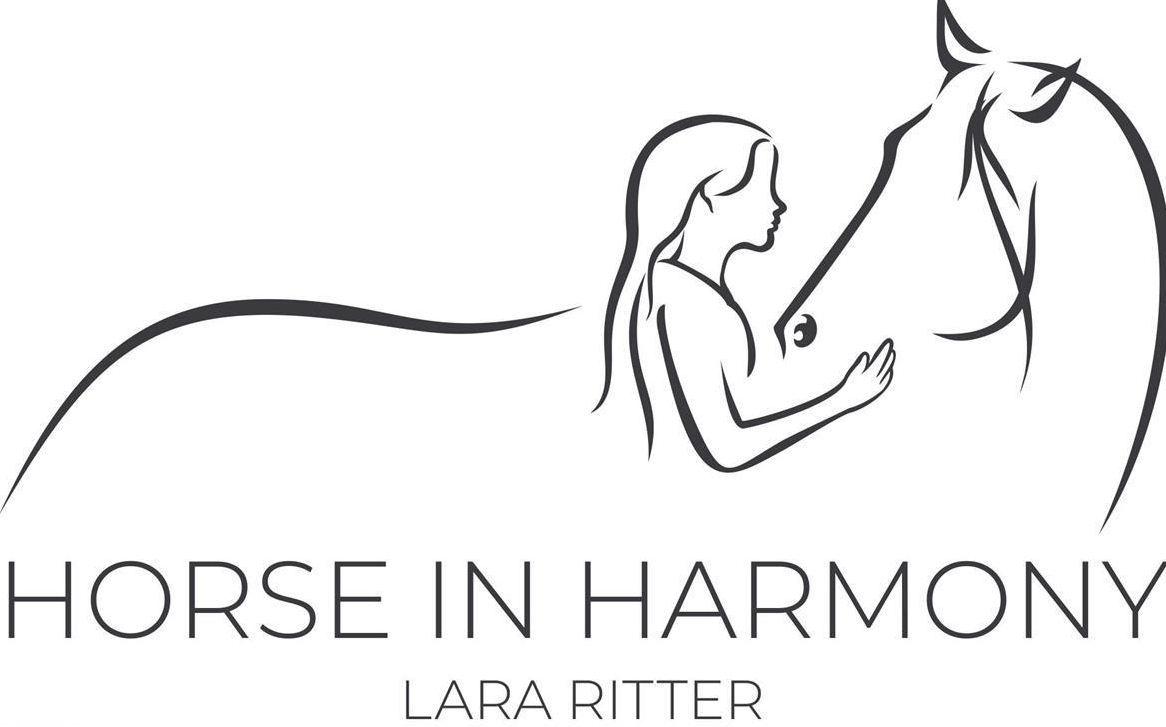 Horse In Harmony - mobiler Reitunterricht und Beritt